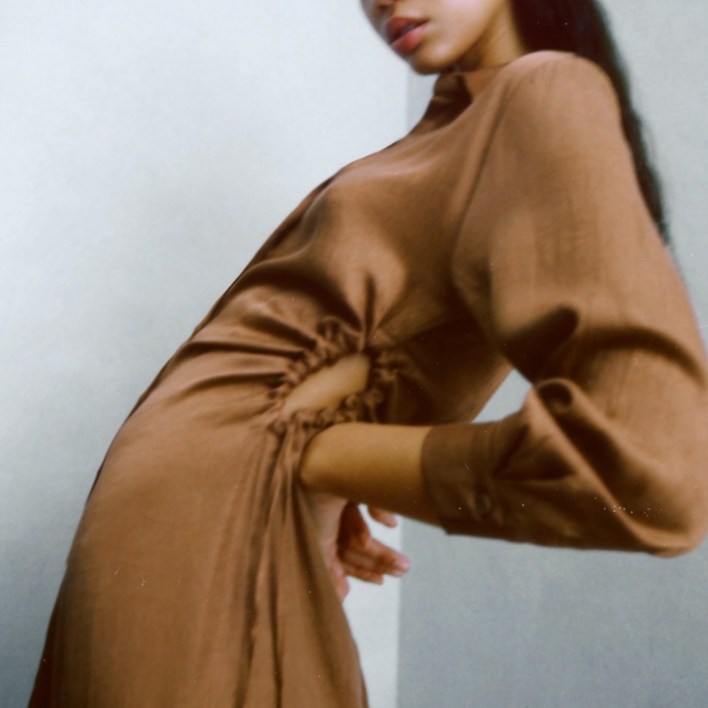 Zara Dress